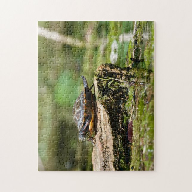 "La Tortue Timide" Puzzle de 252 Pièces (Vertical)
