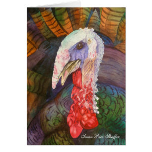 La Turquie "sauvage"