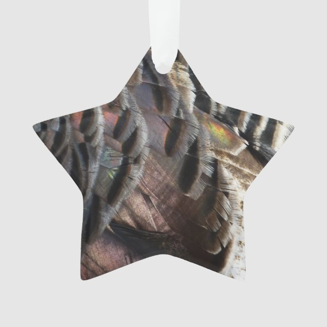 La Turquie sauvage Plumes I Abstrait Nature Design (devant)