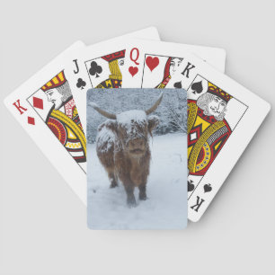 La Vache Des Hauts Pays Dans Les Cartes De Jeu De