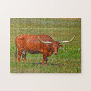 La vache longhorne du Texas rouge au puzzle du pât