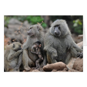 La vie charmée, lac Manyara