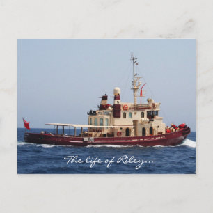 La vie de la carte postale Riley