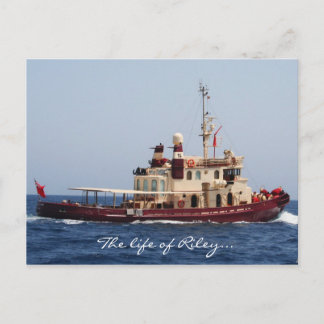 La vie de la carte postale Riley