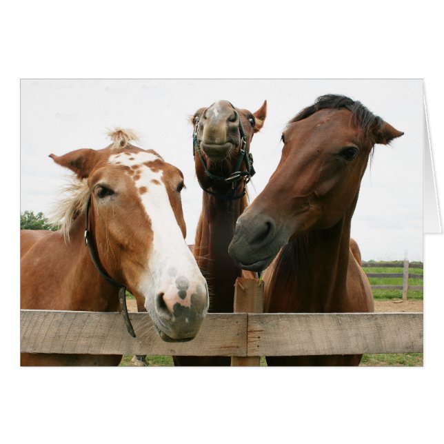La vie de la partie (Devant horizontal)