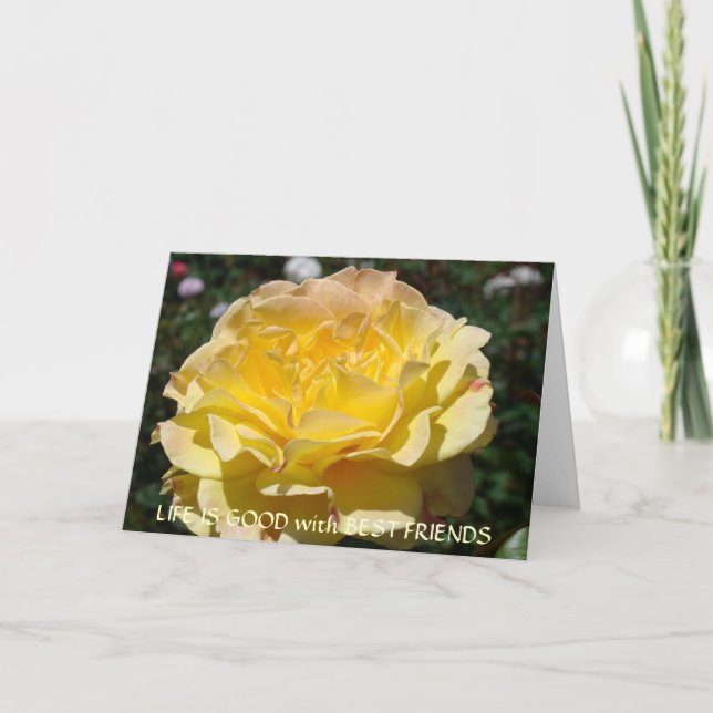 LA VIE EST BONNE avec les meilleures cartes de voe (Devant)