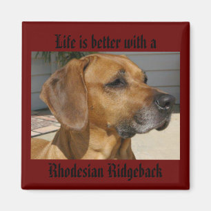 La vie est meilleure avec un AIMANT de RHODESIAN