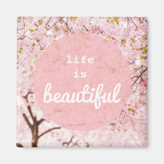 La vie est un bel aimant (Devant)