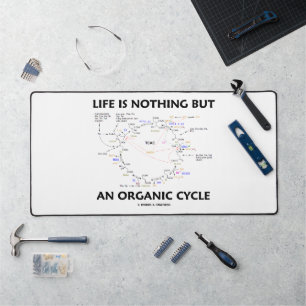 La Vie N'Est Rien D'Autre Qu'Un Humour À Cycle Bio