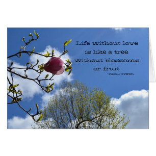 La vie sans amour est comme