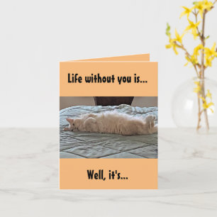 La vie sans toi... carte de chat