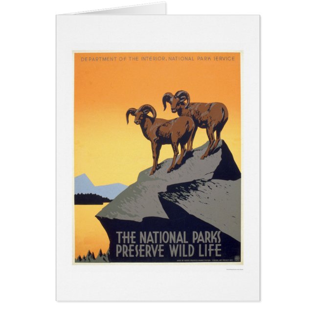 La vie sauvage de conserve WPA 1939 (Devant)