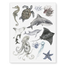 La vie sauvage de l'océan Requin Dauphin Hippocamp