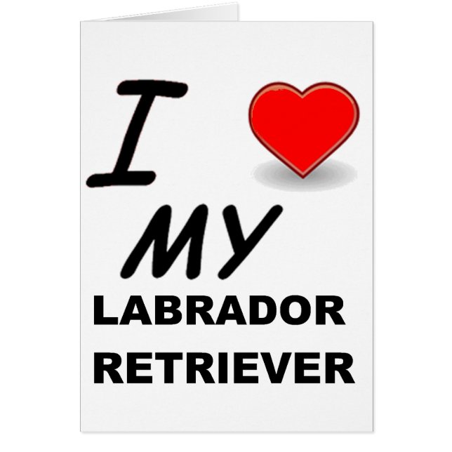lab love (Devant)