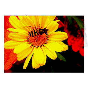 L'abeille libèrent