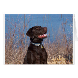 Laboratoire de chocolat