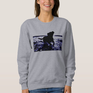 Laboratoire de noir du sweatshirt des femmes