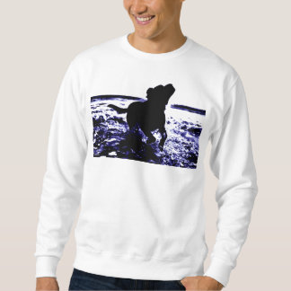 Laboratoire de noir du sweatshirt des hommes