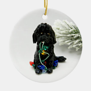 Labra Doodle Golden Doodle Chien de Noël Ornement
