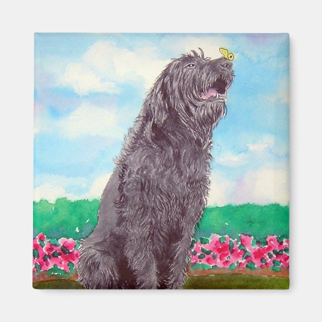 Labradoodé avec aimant papillon (Devant)