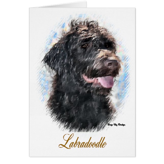 Labradoodle Cadfts (Devant)