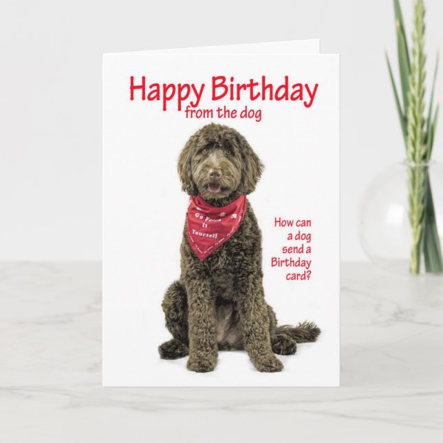 Labradoodle carte d'anniversaire (Devant)