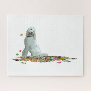 Labradoodle Chien En Feuille Jigsaw Puzzle