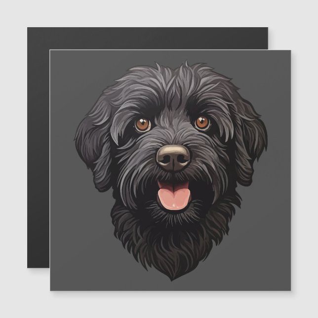 Labradoodle Chien Noir (Devant / Derrière)