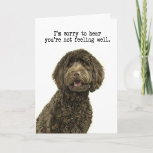 Labradoodle Obtenez la carte du bien