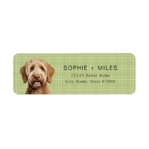 Labradoodle Retourner l'adresse Étiquettes