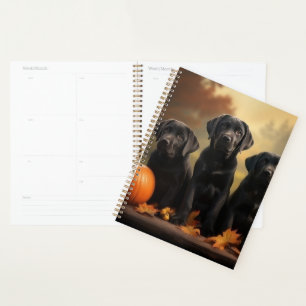 Labrador Chiot Automne Citrouille de plaisir