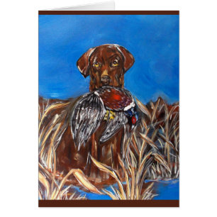 LABRADOR CHOCOLAT