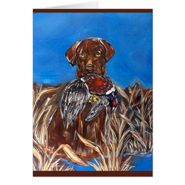 LABRADOR CHOCOLAT (Devant)