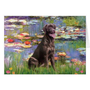 Labrador (Chocolat) - Lilies 2