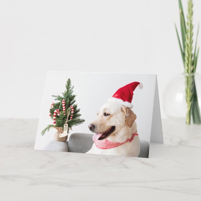 LABRADOR JAUNE À NOËL Carte de voeux pliée (Devant)