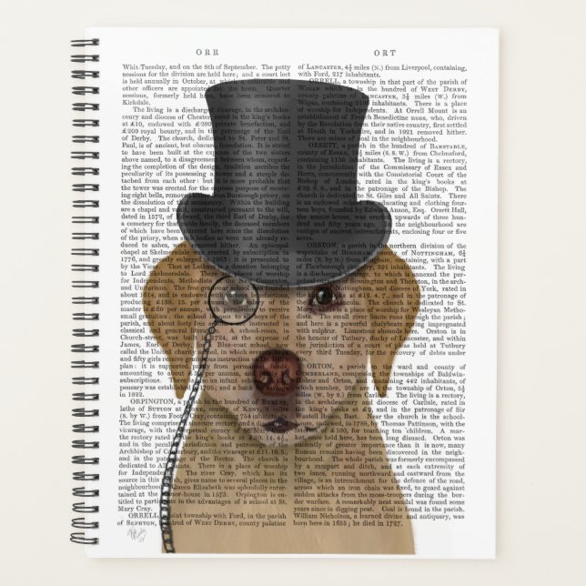 Labrador jaune, Hound officiel et Casquette (Devant)