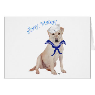 Labrador jaune Marin