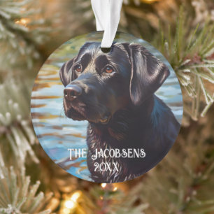 Labrador noir dans l'eau