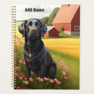 Labrador Retriever à la ferme