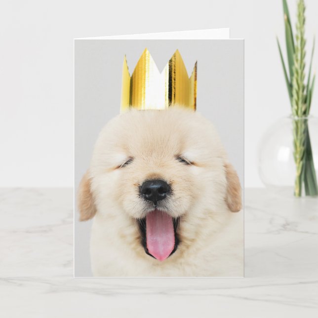 Labrador retriever AVEC la carte de voeux pliée (Devant)