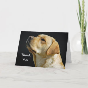 Labrador Retriever Carte de remerciements