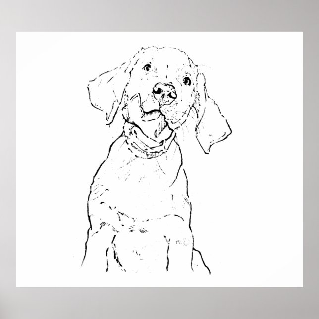 Labrador Retriever Chien Art Mural, Dessin Affiche (Devant)