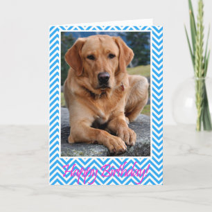 Labrador Retriever Dog Bonne carte bleue d'anniver