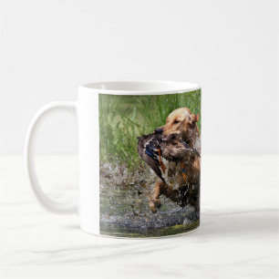 Labrador retriever jaune avec la tasse de canard