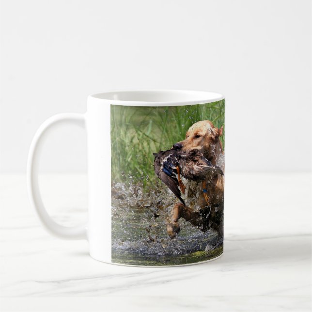 Labrador retriever jaune avec la tasse de canard (Gauche)
