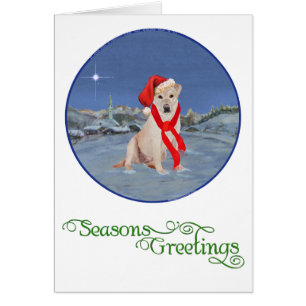 Labrador Retriever jaune de Noël