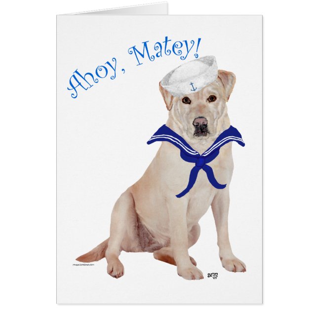 Labrador Retriever Jaune Marin (Devant)