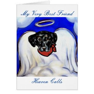 Labrador Retriever noir