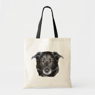 Labrador retriever noir font face au sac