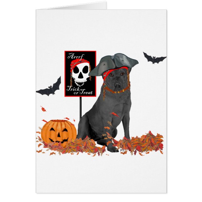 Labrador Retriever noir pirate (Devant)